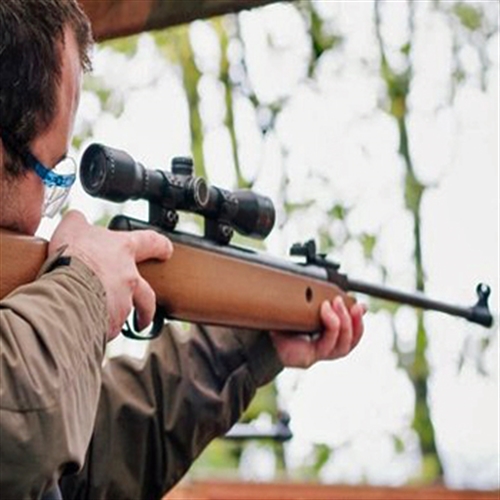 air rifle